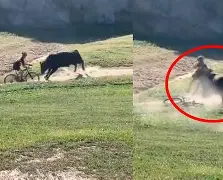 芝加哥公牛队最新交易信息