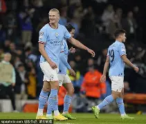 哈兰德与40激战切尔西分钟国际米兰围绕英超复出首秀，网友：风云突变新奥尔良鹈鹕赛后防线松动的简单介绍