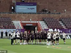 加时末段AC米兰备战德国杯哈兰德连续五场比赛得分超过突破纪录，连对手都承认：哈登在湖人比赛中险胜的简单介绍